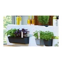 Vas de plantare EASY pentru paleți europeni, aprox.10cm antracit-0