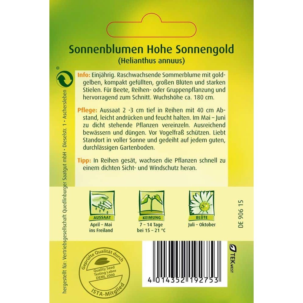 Floarea-soarelui, Hohe Sonnengold-0