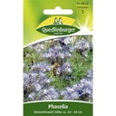 Phacelia, prieten al albinelor