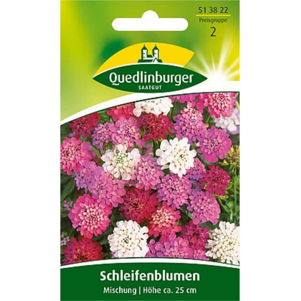 Schleifenblume, amestec