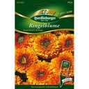 Calendula, Greenheart orange